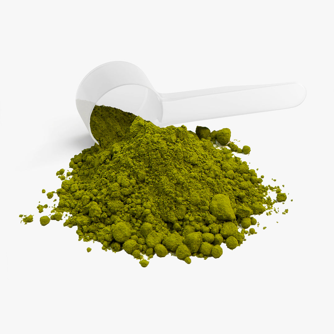 Emerald Ceremony Matcha Powder
